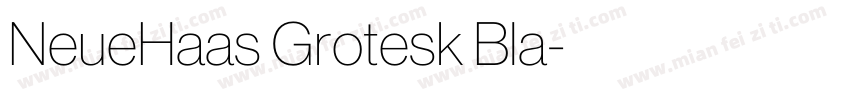 NeueHaas Grotesk Bla字体转换